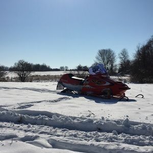 Meet your Posher, Patrick